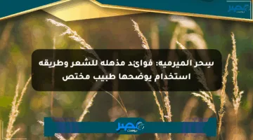 سِحر الميرمية: فوائد مذهلة للشعر وطريقة استخدام يوضحها طبيب مختص